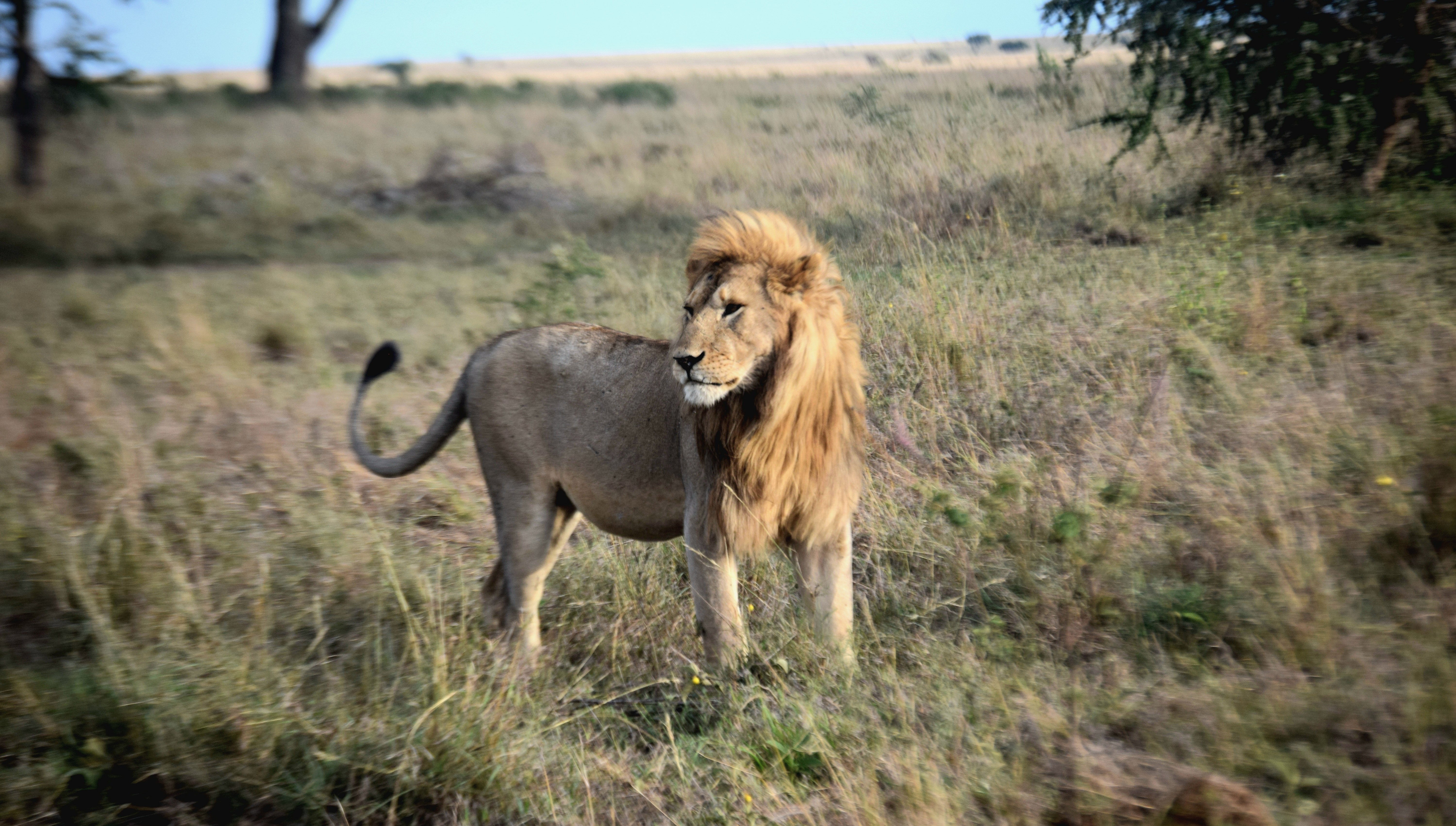 5 Days Northern Circuit Safari