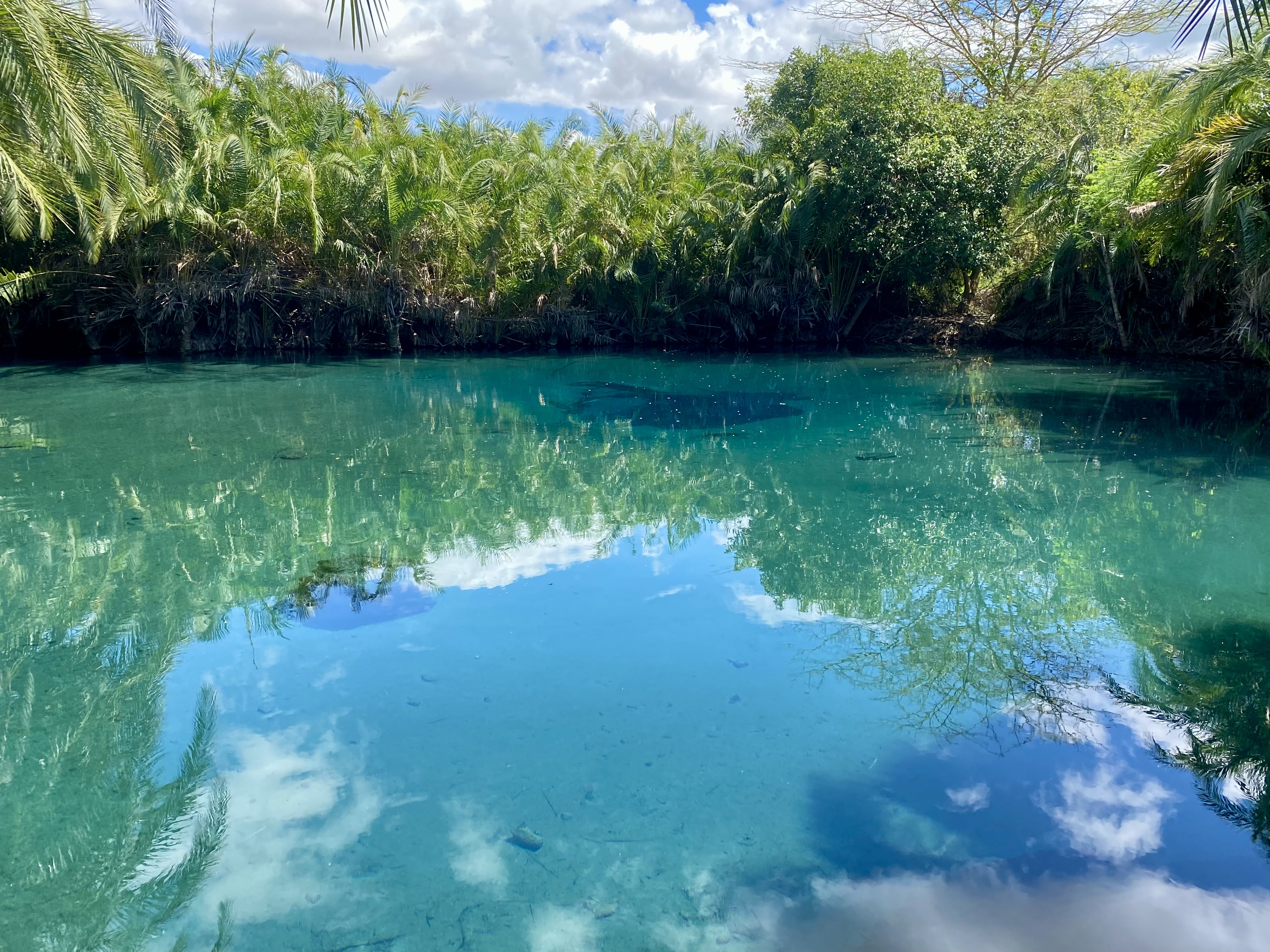 Chemka Hot Springs