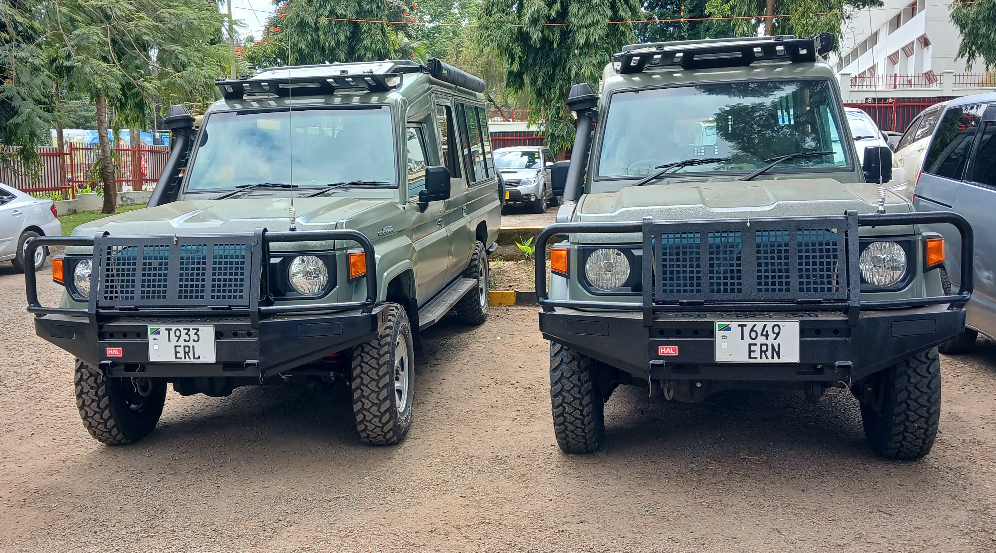 Safari Land Cruiser
