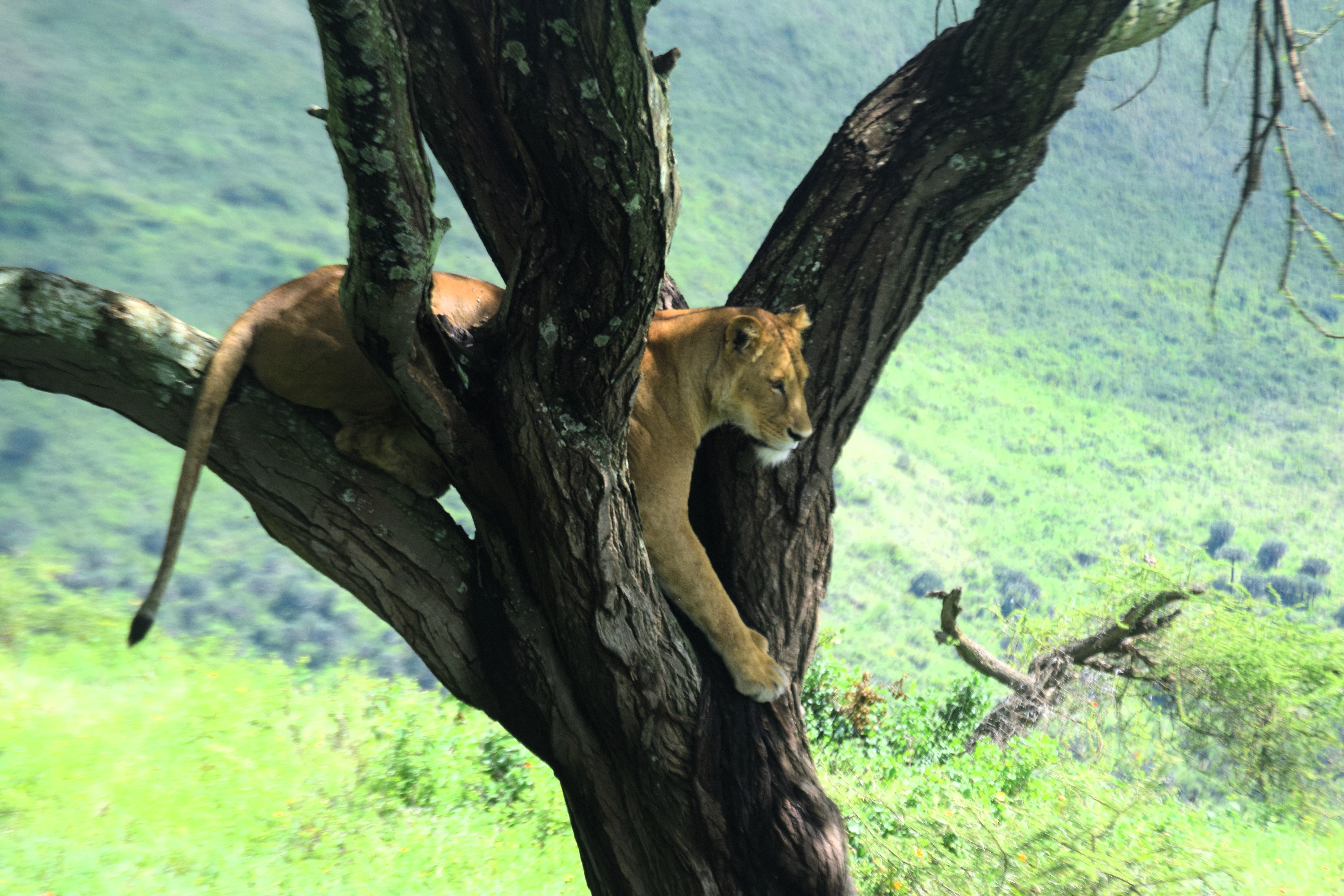 9 Days Northern Circuit Safari