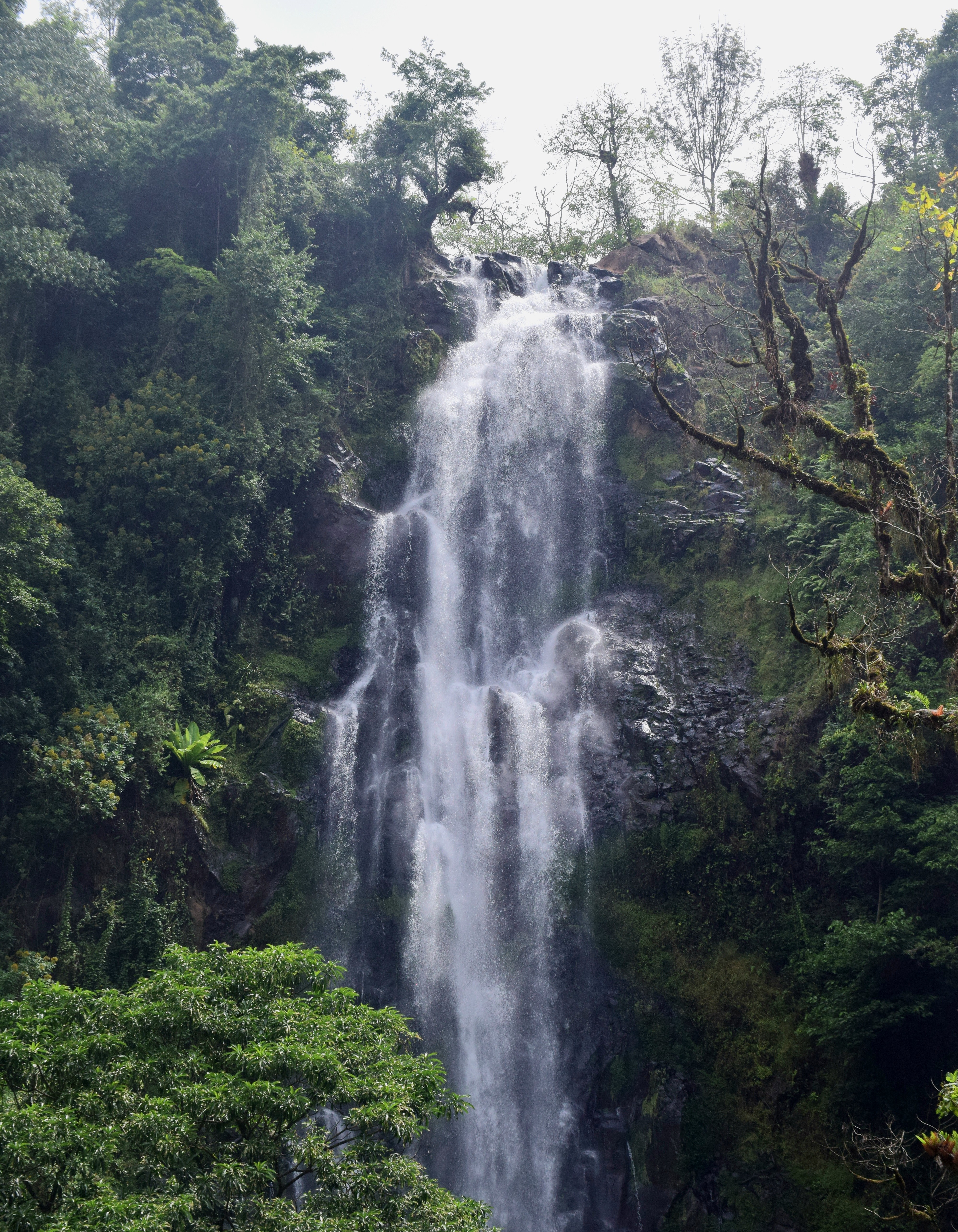 Materuni Waterfalls & Coffee Tour
