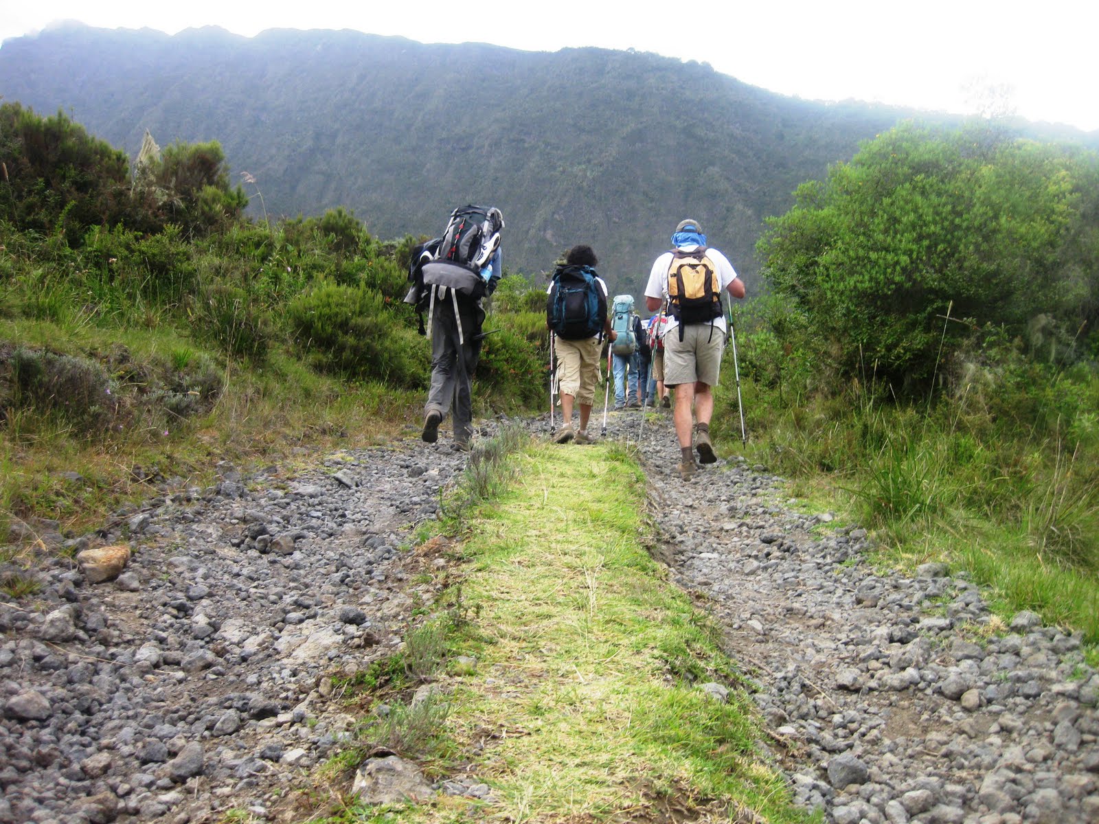 Mount Meru Trek