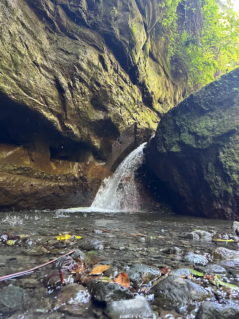 Napuru hiking experience