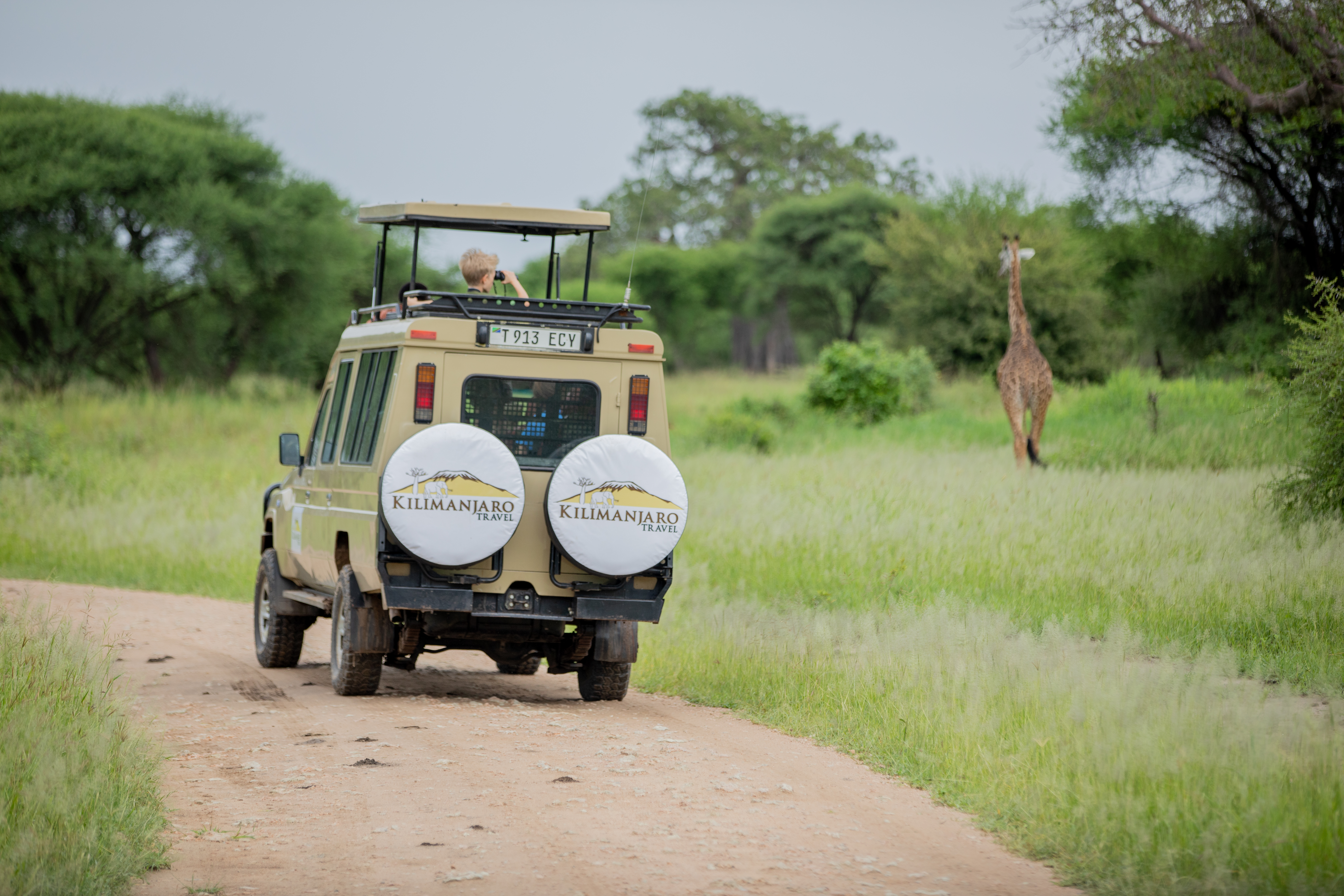 Nyerere National Park Fly-in Day Trip From Zanzibar