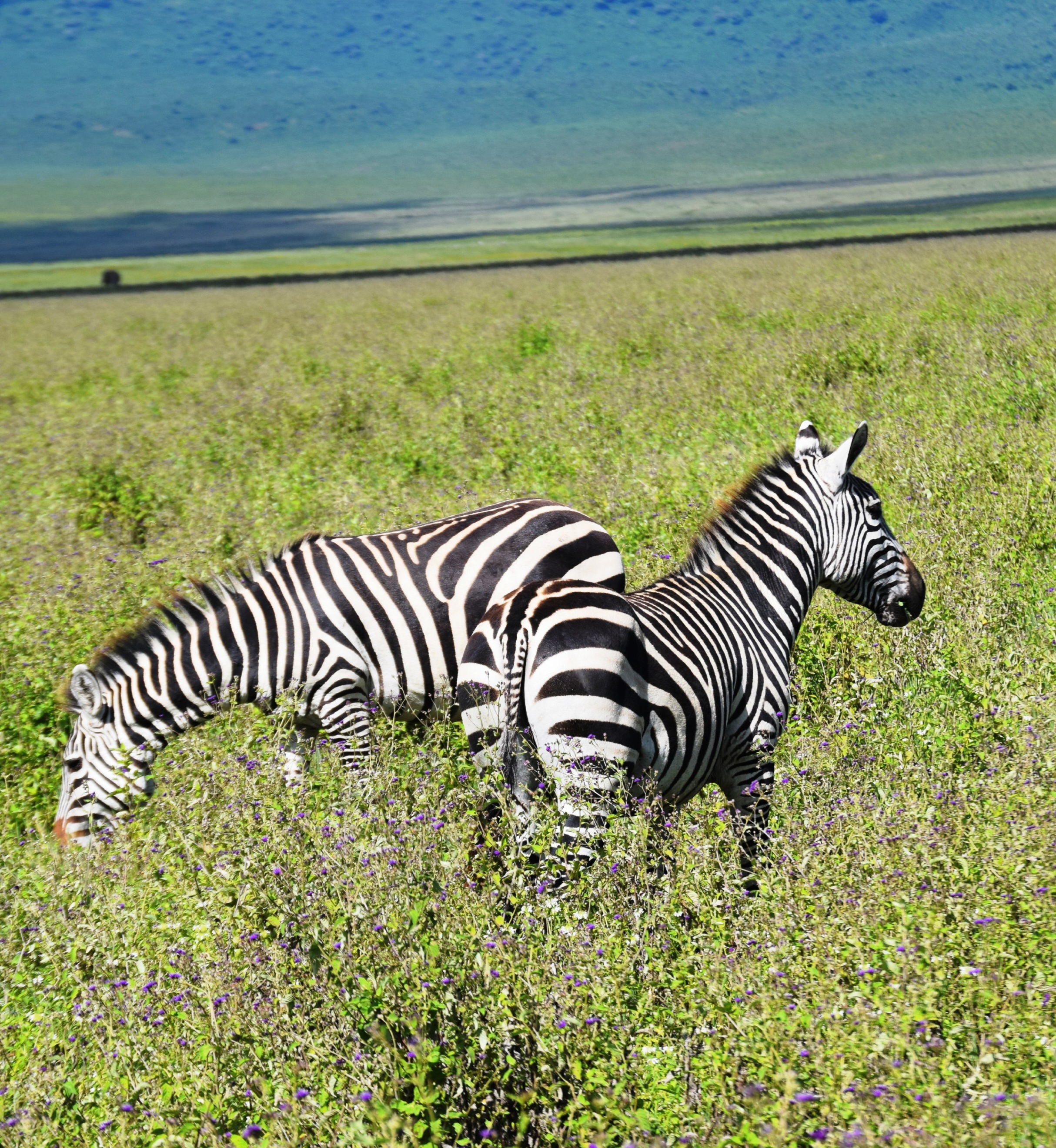 10 Days Northern Circuit Safari