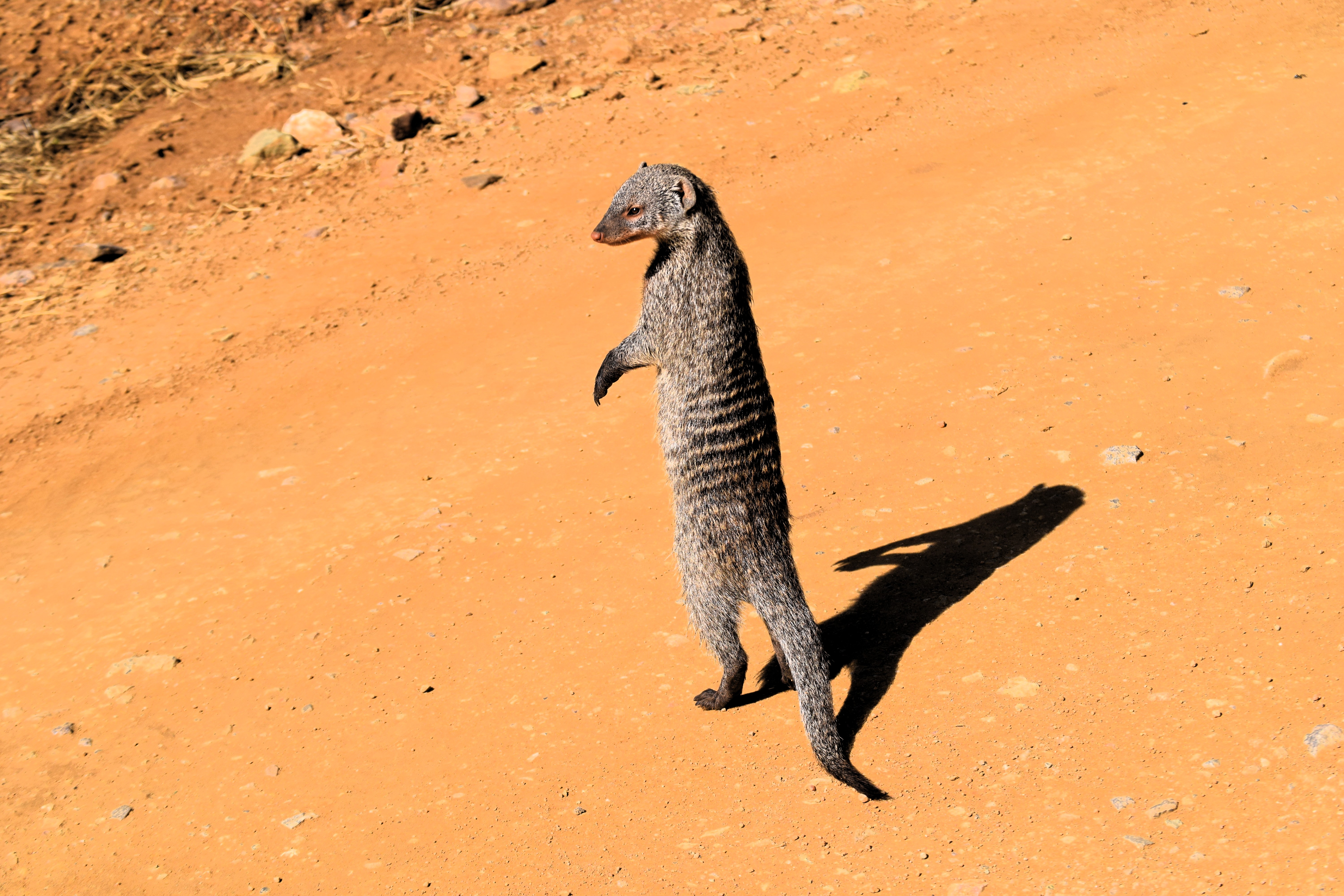 14 Days Safari + Zanzibar